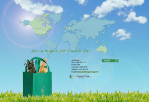 greenbag-165-300x205 Portfolio