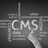 cms-web-design-icon Web Design Services