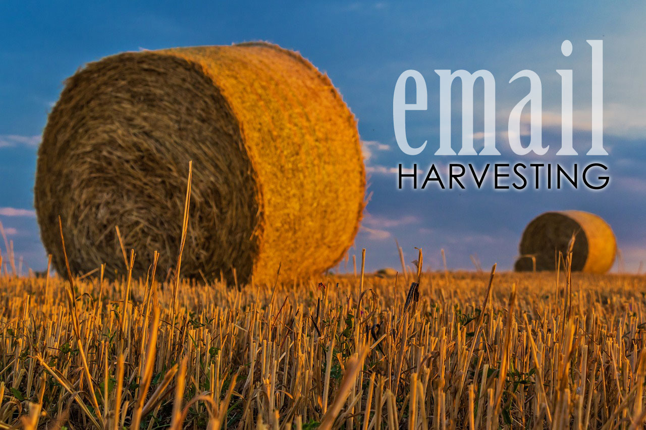 Email Harvesting Protection Services from Flying Cow Design