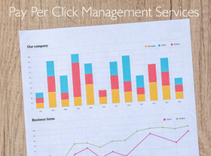 ppc-management-services-300x222 PPC Management Services