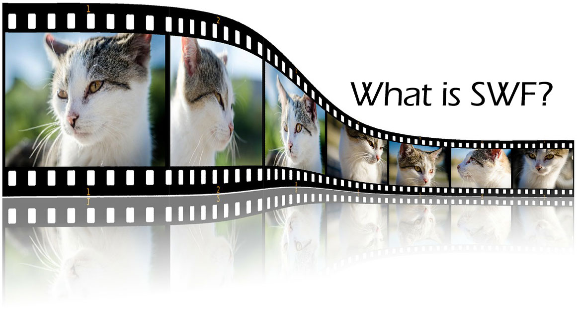 What is swf?
